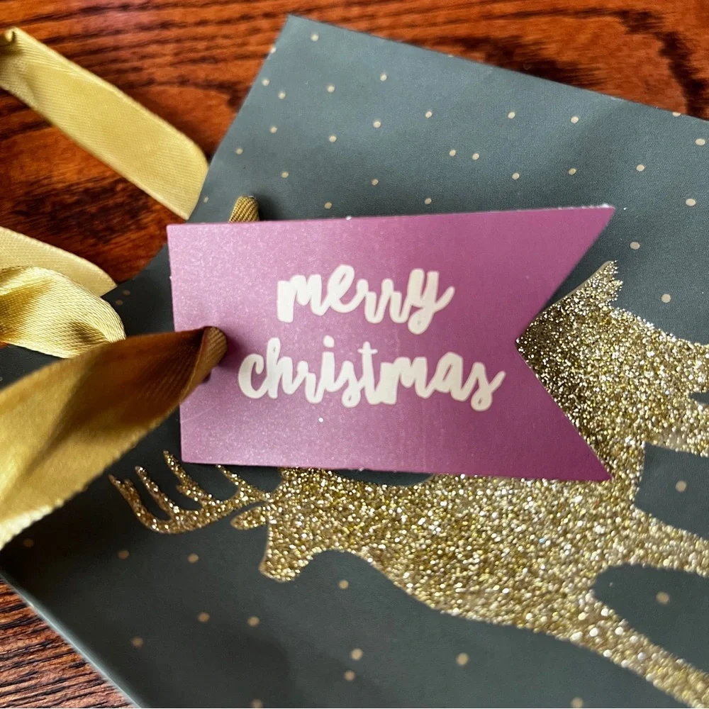 Design Focus Holiday Christmas Gift Bags